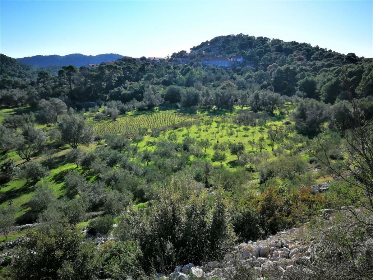 Agriculture & Holiday House Lasko Goveđari Dış mekan fotoğraf